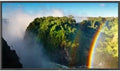 55IN LCD 1920X1080 4000:1 P551-AVT VGA Dvi-d HDmi 8MS Blk