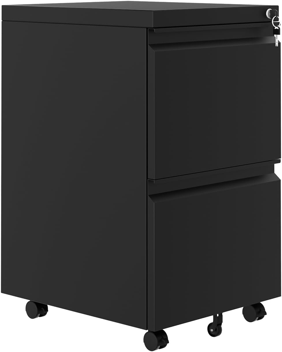 GAOMON 2-Drawer Mobile File Cabinet with Lock, Metal Filing Cabinet on Wheels, Fits Letter/Legal/A4 Files, Space-Saving Under Desk Office Storage Organizer for Home Office, Easy Assembly, Black