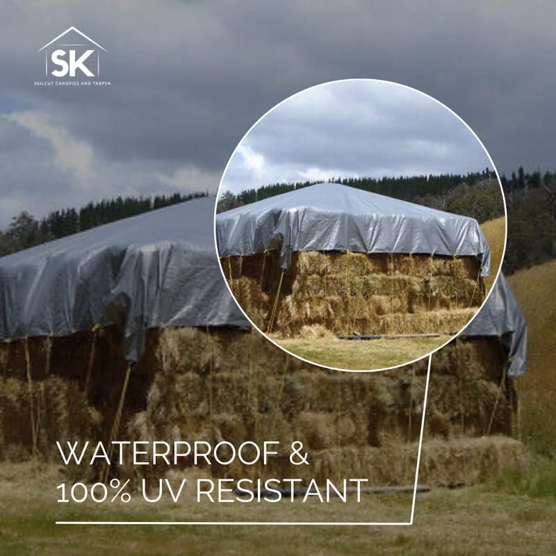 Silver Extra Heavy Duty 16 Mil Poly Tarp Canopy/Cover/Industrial/Agricultural 20x40