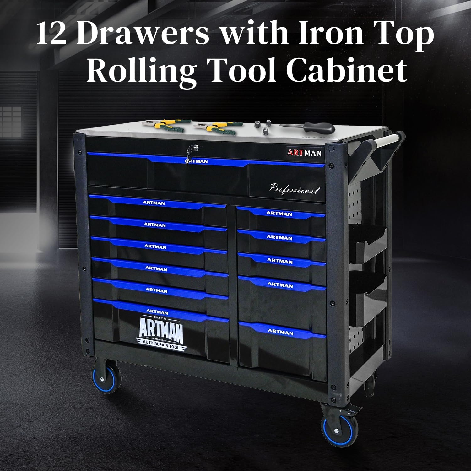 Heavy Duty Rolling Tool Chest with 12-Drawer Tool Cart Mechanic Tool Box with Wheels Tool Storage Cabinet Mobile Workbench Tool Bench for Garage, Workshop, Warehouse, Repair Shop, Iron Top