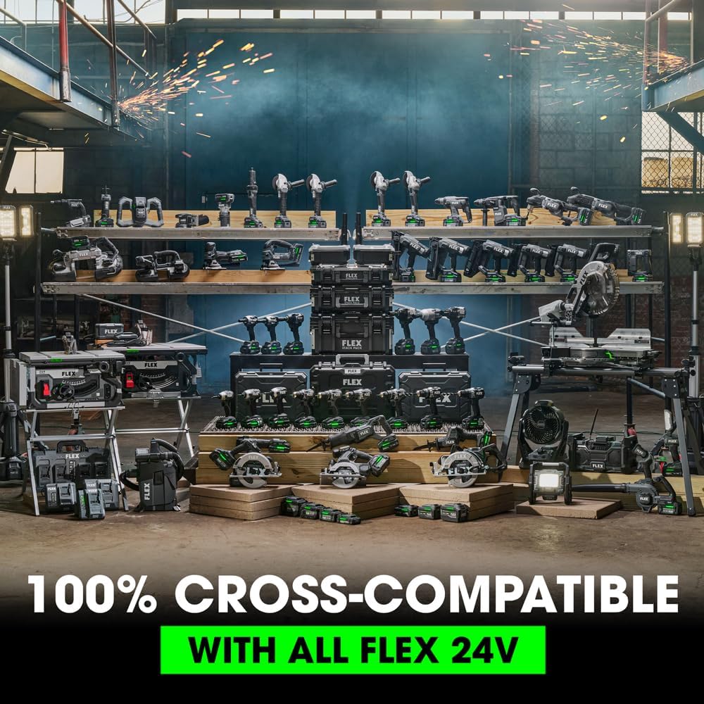 FLEX 24V 12.0Ah Lithium-Ion Battery - FX0231-1