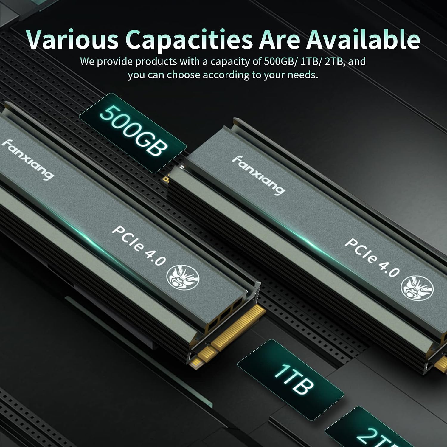 fanxiang S660 PCIe 4.0 1TB NVMe M.2 SSD for PS5 with Heatsink, Up to 5000MB/s, Internal Gaming SSD NAND SLC Cache Suitable for PS5 Enthusiasts, Technology Enthusiasts, IT Professionals
