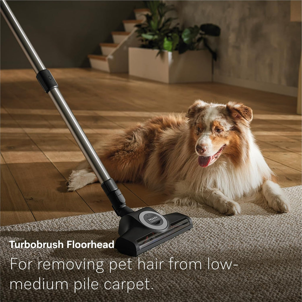 NEW Miele Guard M1 Cat & Dog Bagged Canister Vacuum for Pet Owners with Odor-Reducing Active AirClean Filter, TurboTeQ Floorhead, and AllTeQ Universal Floorhead, in Obsidian Black/Space Grey