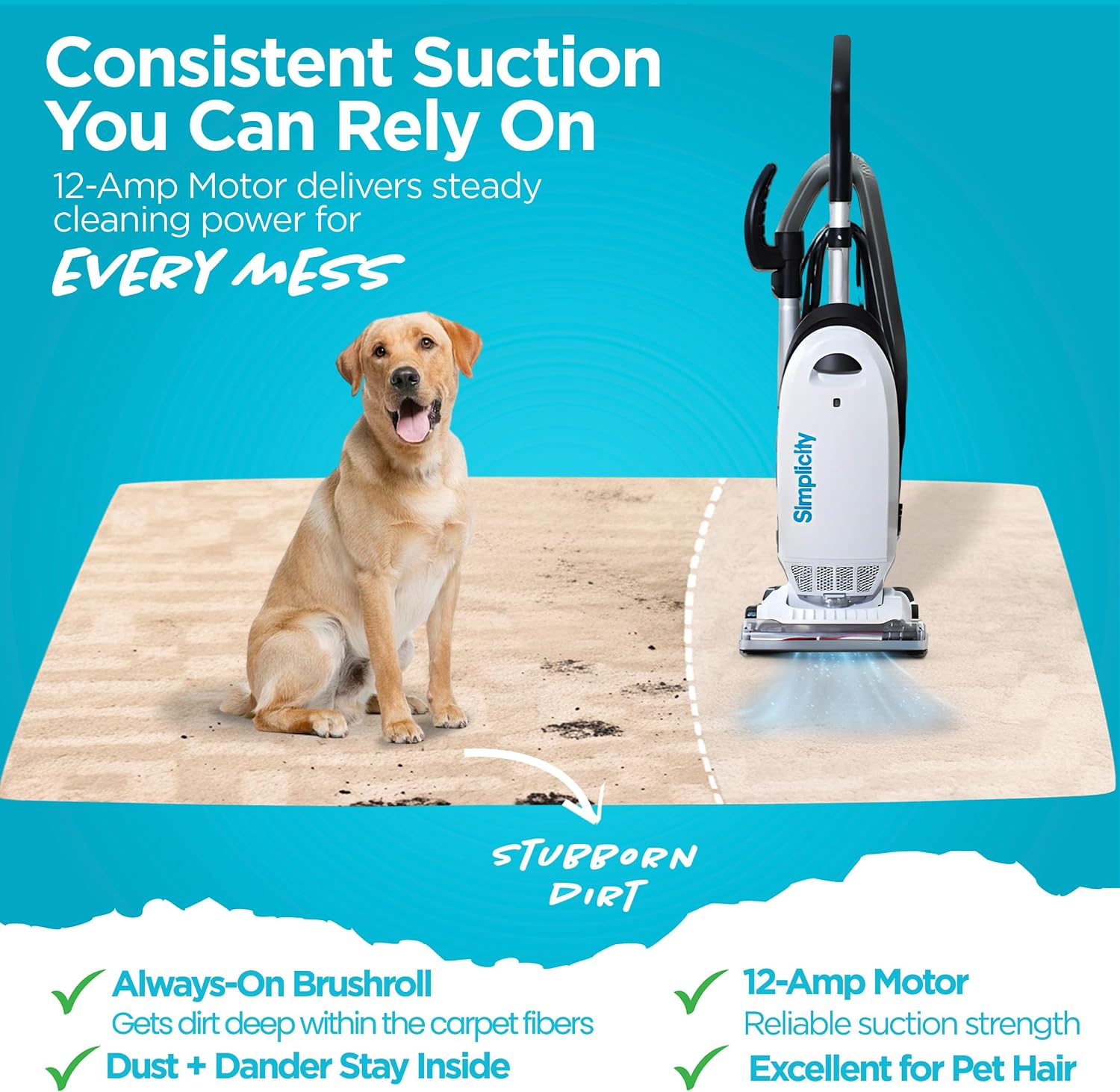 Simplicity Vacuums Allergy Bagged Vacuum Cleaners for Home, Carpet, Rugs, and Hardwood, Multi Surface Upright Vacuum Cleaner with Certified HEPA Vacuum, Pet Vacuum, S20EZM