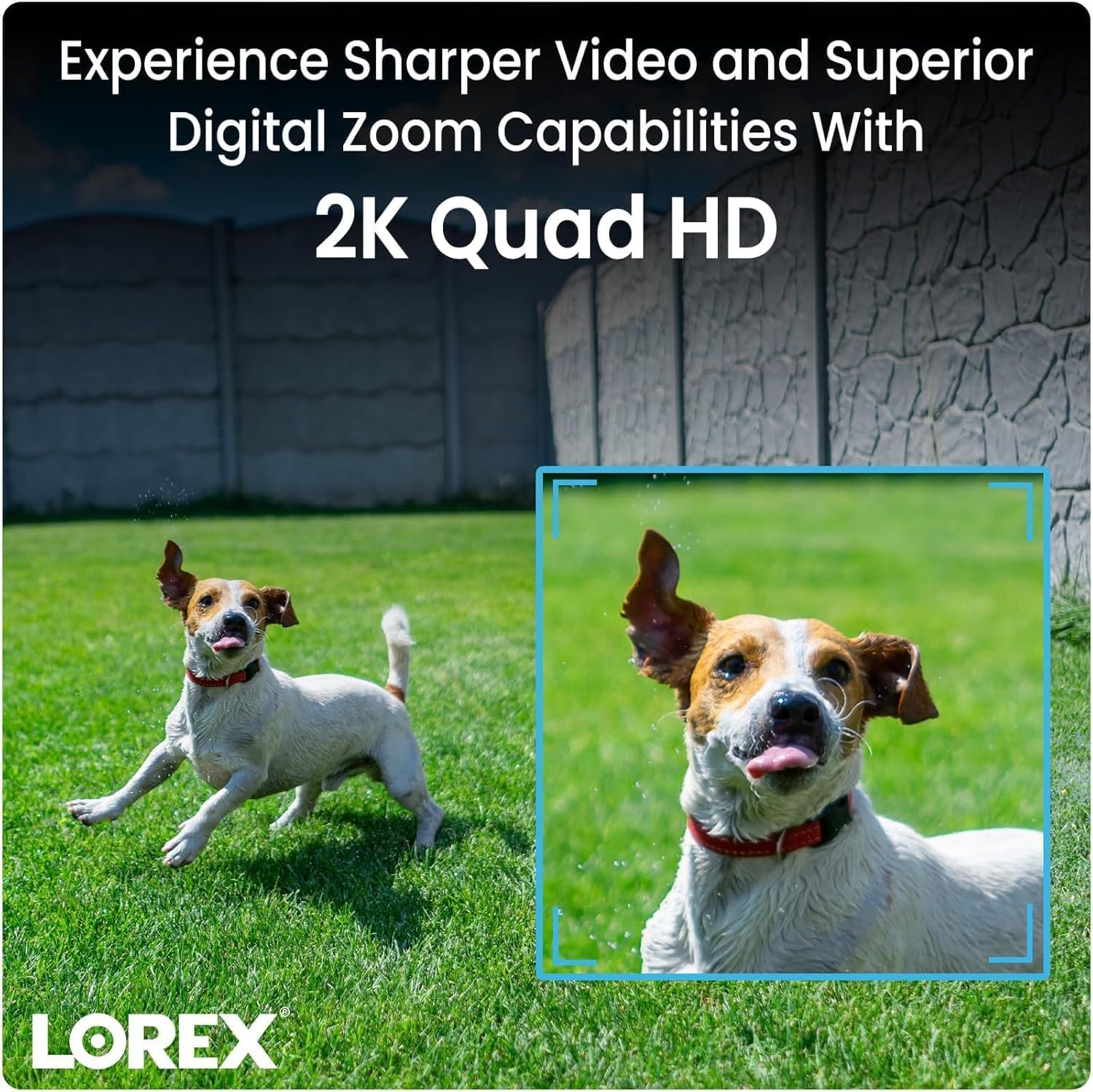 Lorex 2K Wireless WiFi Smart Video Doorbell Camera | No Subscription Fee | 32GB MicroSD Card Included | Smart Security Lighting | Night Vision | Battery-Powered | Motion Detection | Black