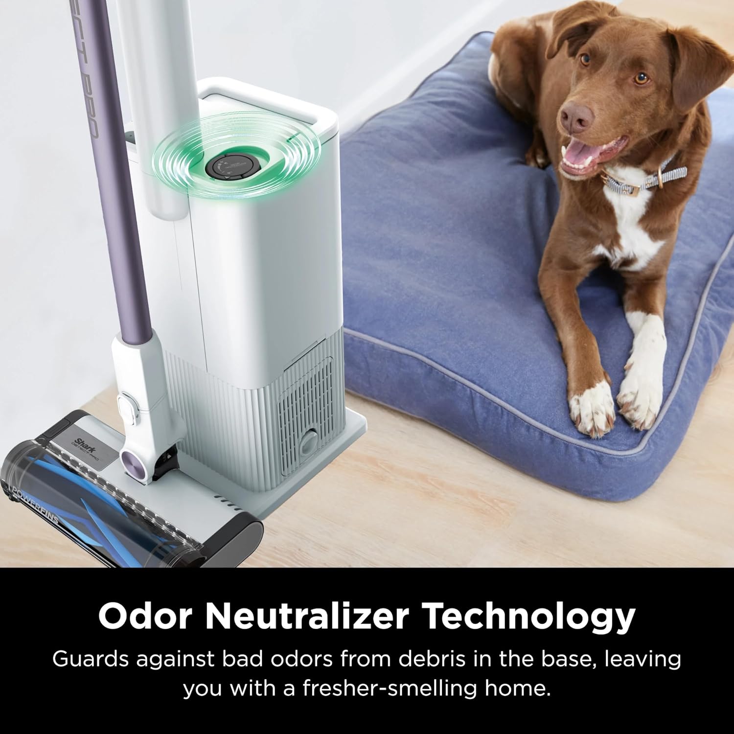 SHARK IW3525Q Detect Pro Auto-Empty System - Lightweight Cordless Stick Vacuum for Pet Hair with HEPA Filter, Odor Neutralizer, Portable Handheld, Charging Dock, Tools (Renewed) (White + Blue)