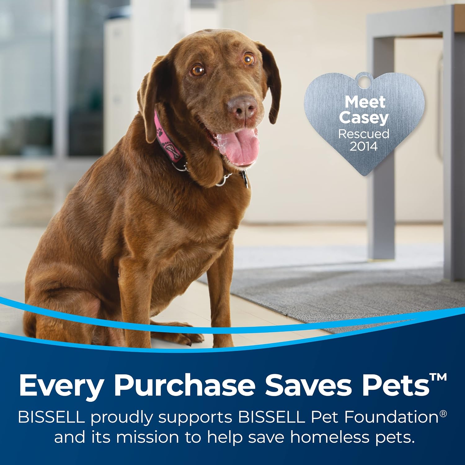 Bissell Crosswave HF3 Cordless Wet/Dry Vacuum Cleaner and Mop, Multi-Surface and Hardwood Floor Cleaner, 3649A