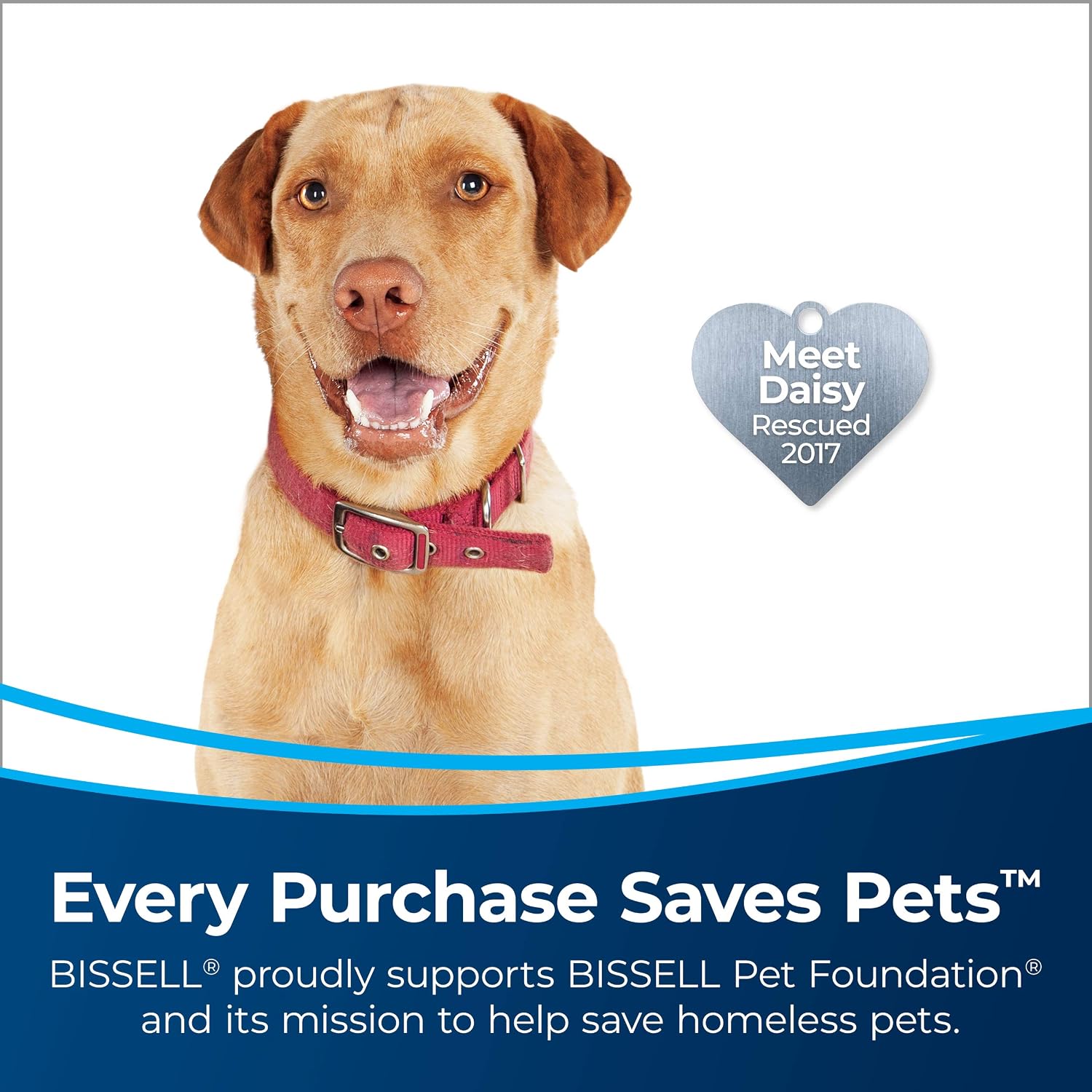 Bissell MultiClean Allergen Pet Slim