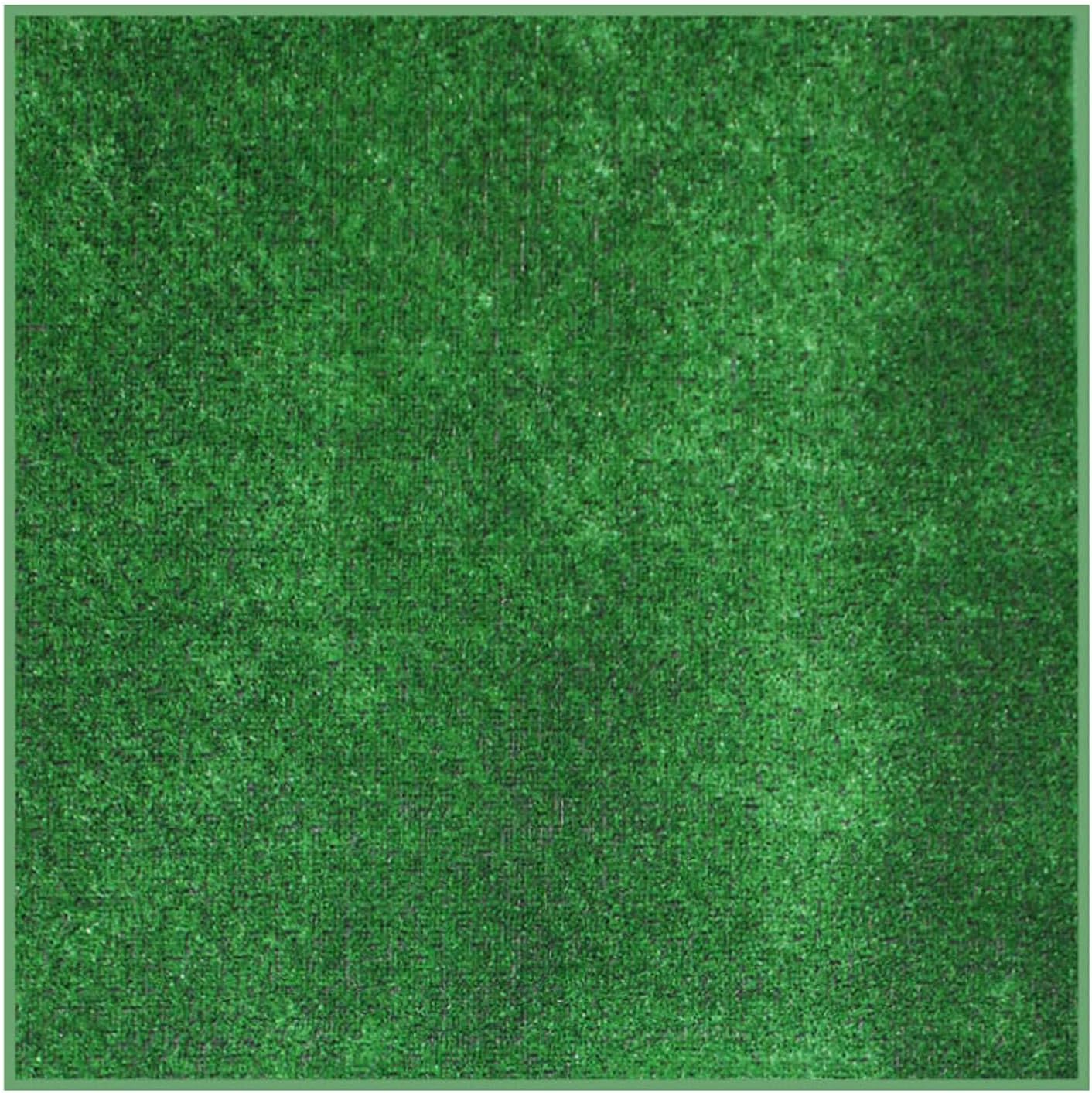 KOECKRITZ Outdoor Turf Rug – Weather-Resistant Artificial Grass Carpet for Patio, Deck, Porch, Gazebo, Boat & Pool – Lightweight, Fade-Resistant - 3' x 12'