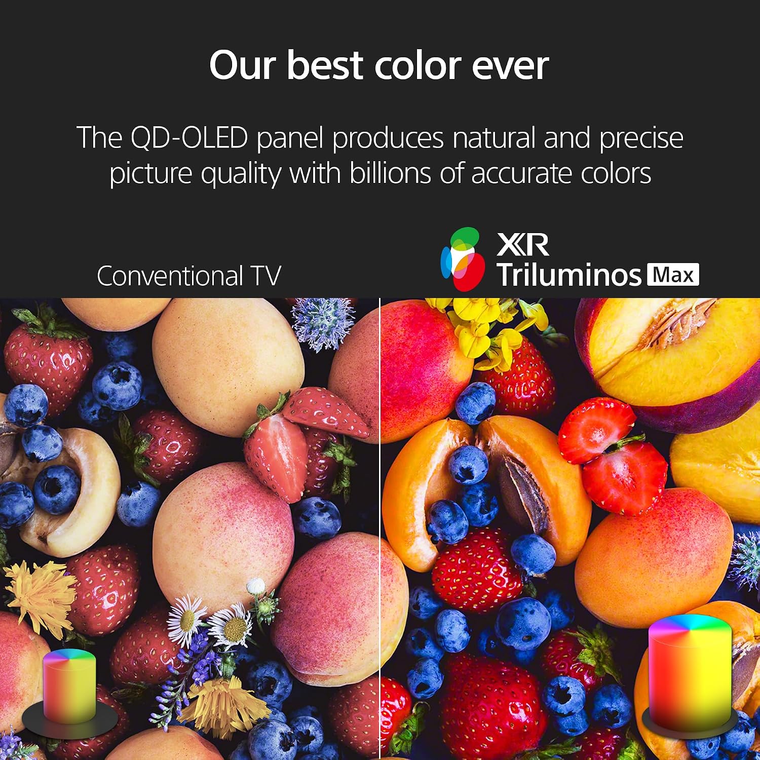 SONY K55XR80M2 55 Inch Bravia 8 QD-OLED 4K HDR Google TV with a Kanto PMX700 Pro Series Full Motion Dual Stud Mount (2025)