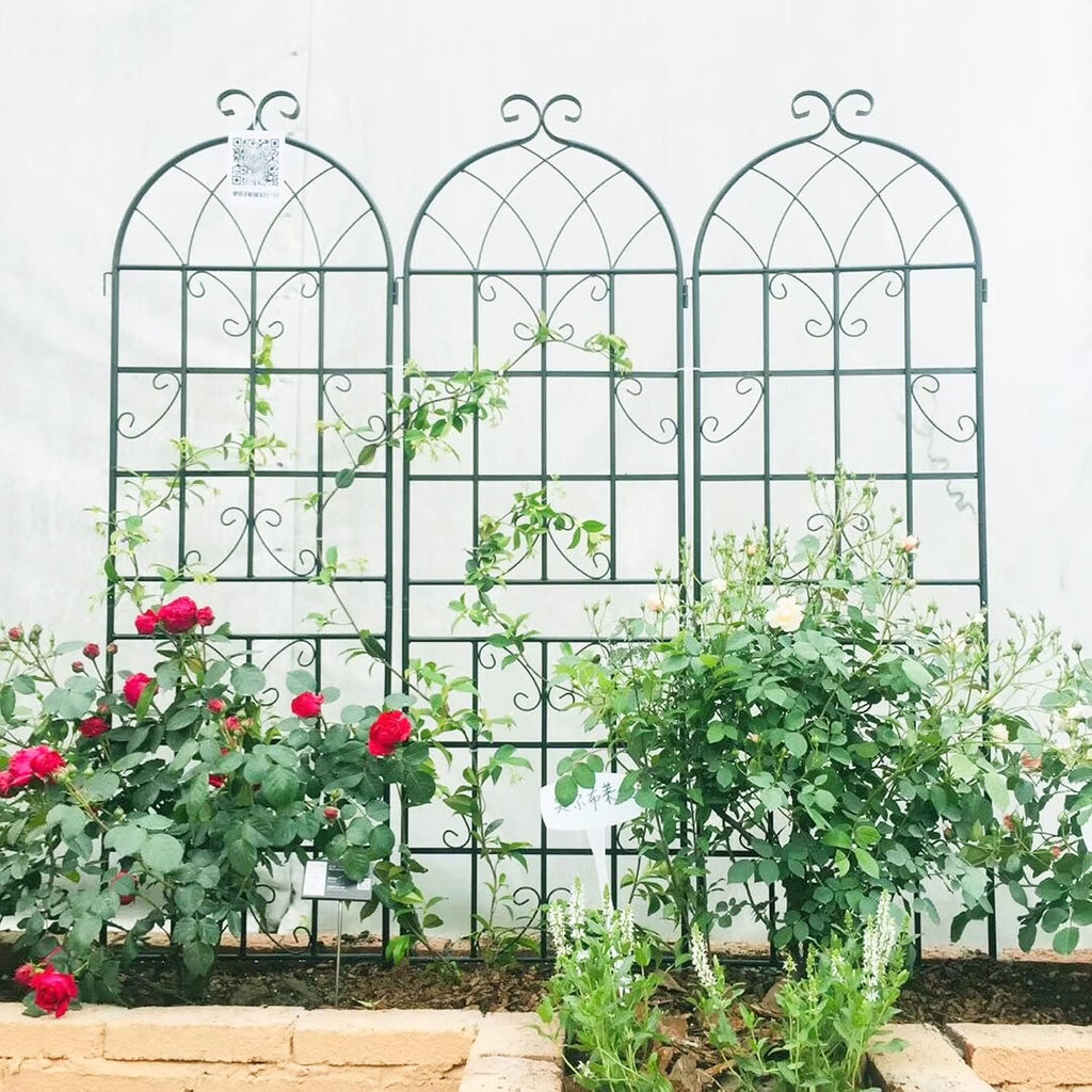 4 Pack 71'x80' Metal Garden Trellis with Galvanized Tube,Vines Plant Rose Vegetable Support,w/Pre-Cut and Pre-drilled Holes,Large Decorative Outdoor,for Backyard,Farm,Black