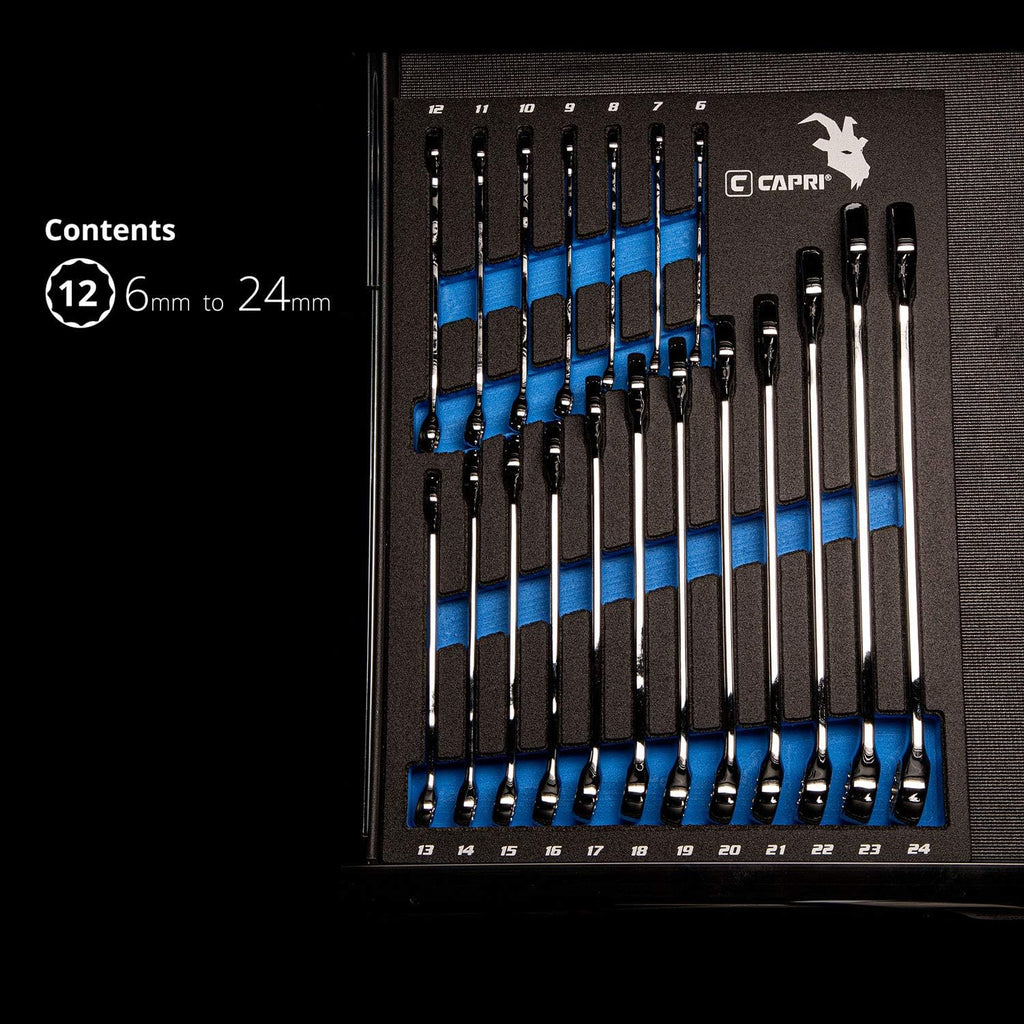 Capri Tools Combination Wrench Set with The Mechanic's Tray, Metric 6 to 24 mm, 19-Piece (CP11390MT)