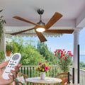 Passky Ceiling Fans with Lights and Remote, 60 inch Walnut Wood 5 Blades Ceiling Fan, Reversible, 3CCT, Dimmable, Noiseless, 6 Speeds Ceiling Fans for Bedroom Living Room Farmhouse Gazebo Patio