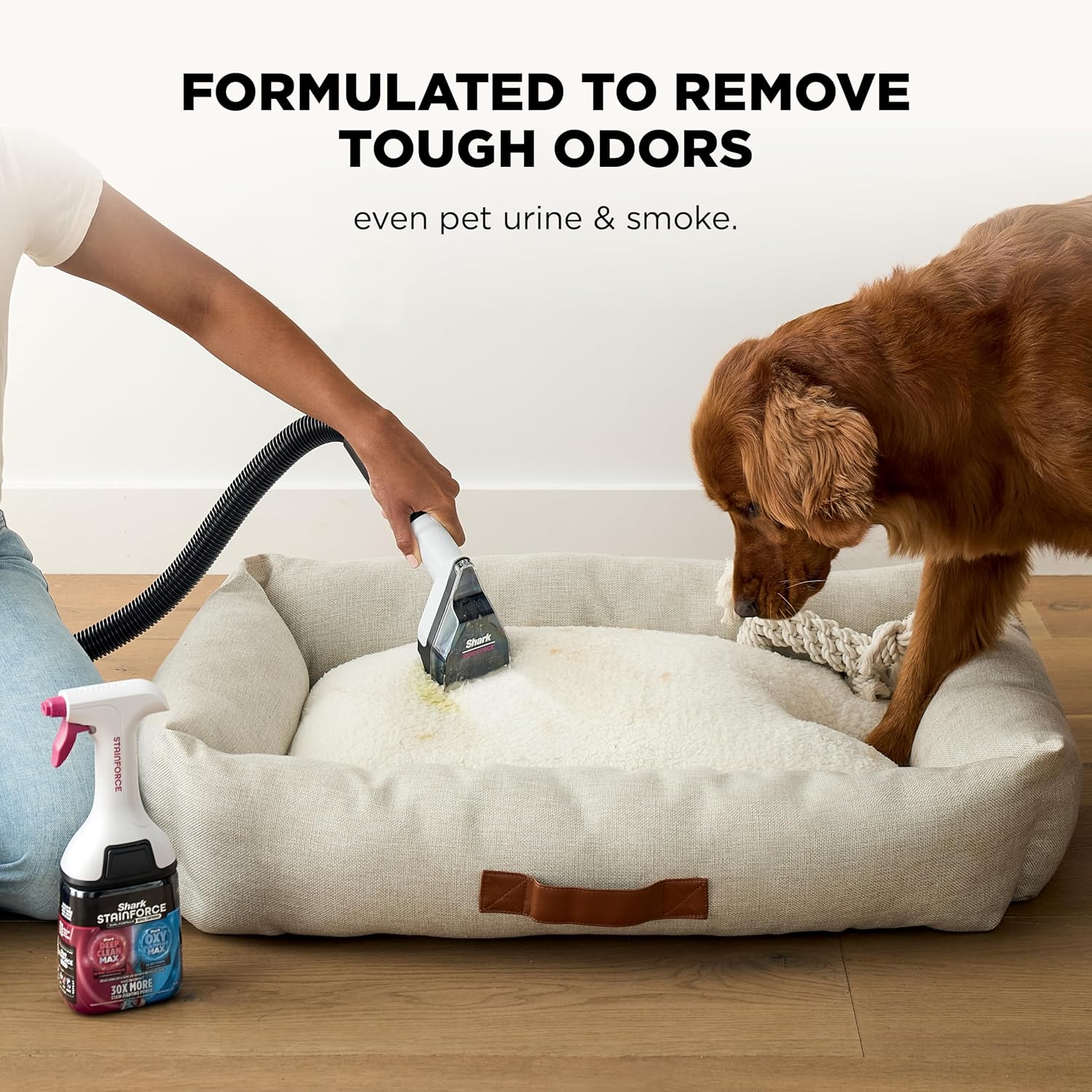 Shark EveryMess™ | Ultra-Powerful 3-in-1 Wet Vac, Dry Vac, & Stain Eliminator | StainForce Technology, Perfect for Homes, Pets, and Cars | 3 Accessories and Cleaning Solution | Blue | VX102BRN
