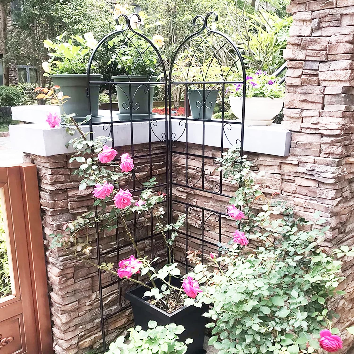 4 Pack 71'x80' Metal Garden Trellis with Galvanized Tube,Vines Plant Rose Vegetable Support,w/Pre-Cut and Pre-drilled Holes,Large Decorative Outdoor,for Backyard,Farm,Black