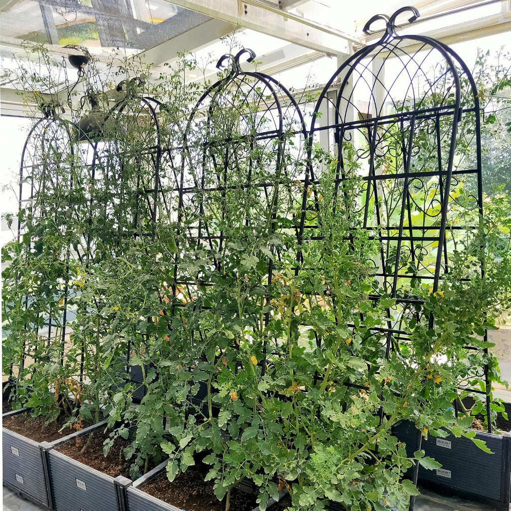 4 Pack 71'x80' Metal Garden Trellis with Galvanized Tube,Vines Plant Rose Vegetable Support,w/Pre-Cut and Pre-drilled Holes,Large Decorative Outdoor,for Backyard,Farm,Black